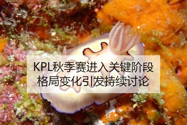 KPL秋季赛进入关键阶段 格局变化引发持续讨论